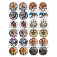 Тигры циферблаты кожа водорастворимая бумага 1 лист